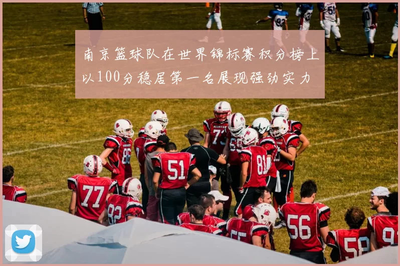 南京篮球队在世界锦标赛积分榜上以100分稳居第一名展现强劲实力