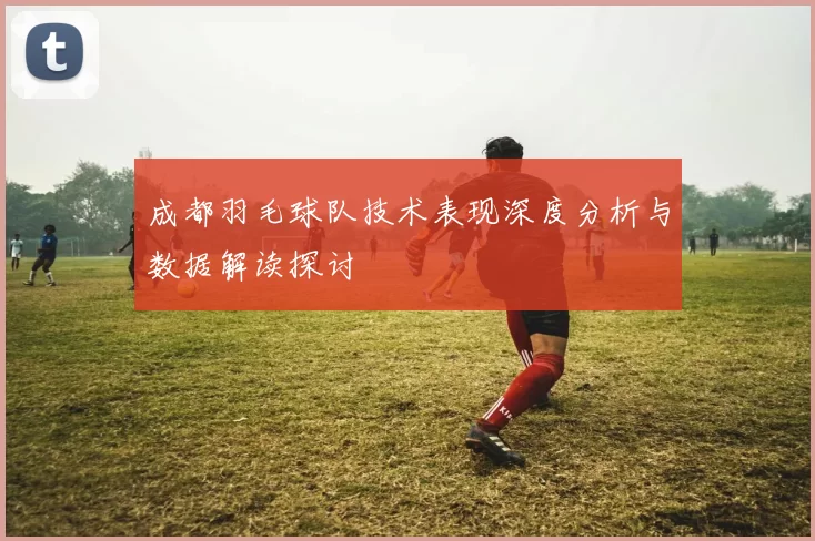 成都羽毛球队技术表现深度分析与数据解读探讨