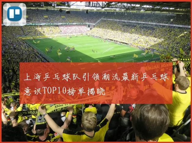 上海乒乓球队引领潮流最新乒乓球意识TOP10榜单揭晓