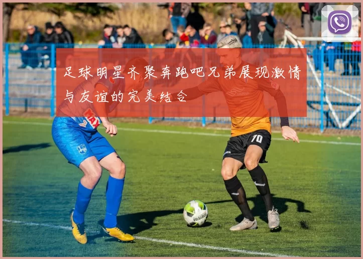 足球明星齐聚奔跑吧兄弟展现激情与友谊的完美结合