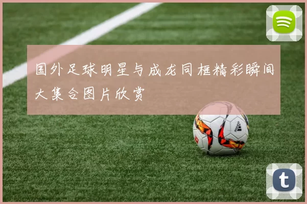 国外足球明星与成龙同框精彩瞬间大集合图片欣赏